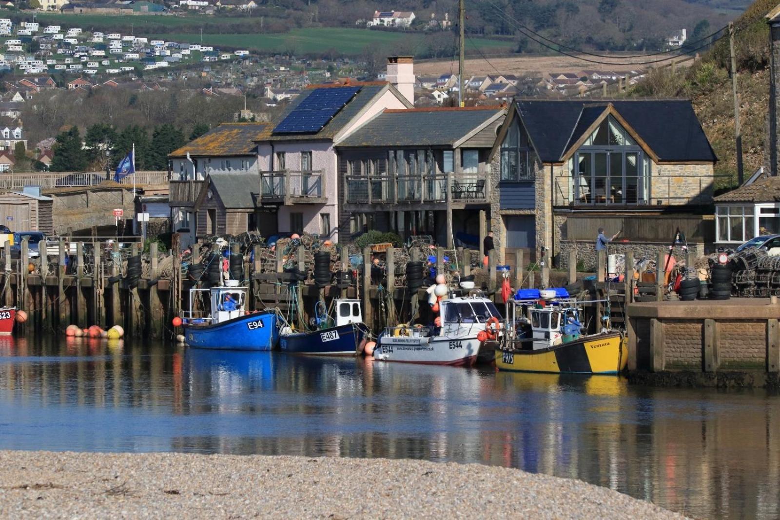 Harbour Apartment Seaton  Exteriér fotografie